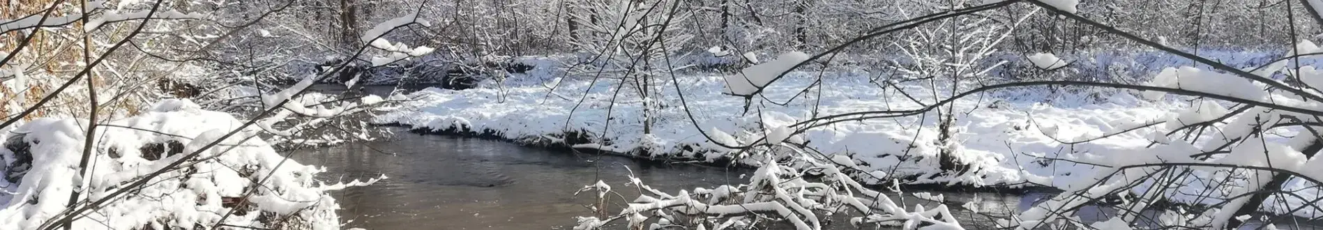 ZIMAN W PARKU W PIOTROWICACH