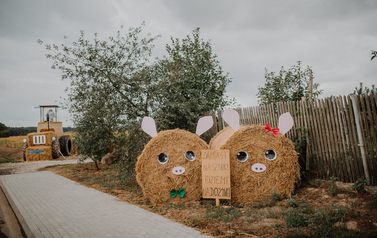 dożynki gminne bogdanów gmina kostomloty-8