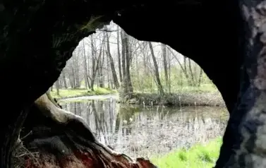 AUTOR-A. Jak&oacute;bczak - Park w Piotrowicach jesienią, 2021 r.