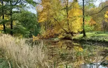 AUTOR - A. Jak&oacute;bczak Park w Piotrowicach jesienna porą, 2021 r.