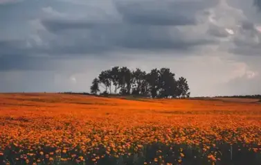 AUTOR.PAWEŁ R&Oacute;ŻYCKI