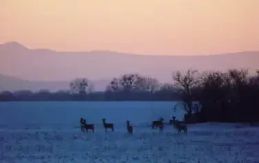 AUTOR.JOANNA FRYDRYK