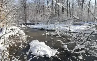 AUTOR. AGNIESZKA JAK&Oacute;BCZAK 2021