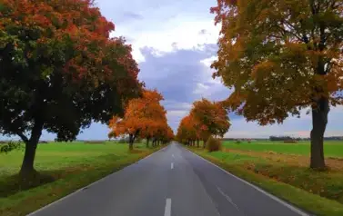 AUTOR. SYLWIA ŻUROWSKA 2021