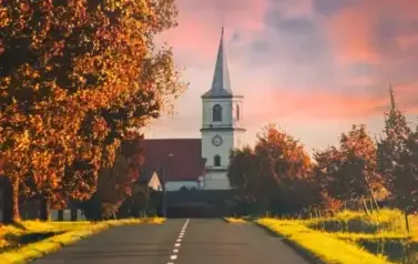 AUTOR PAWEŁ R&Oacute;ŻECKI 202