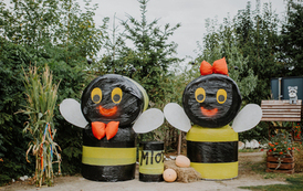 dożynki gminne bogdanów gmina kostomloty-21